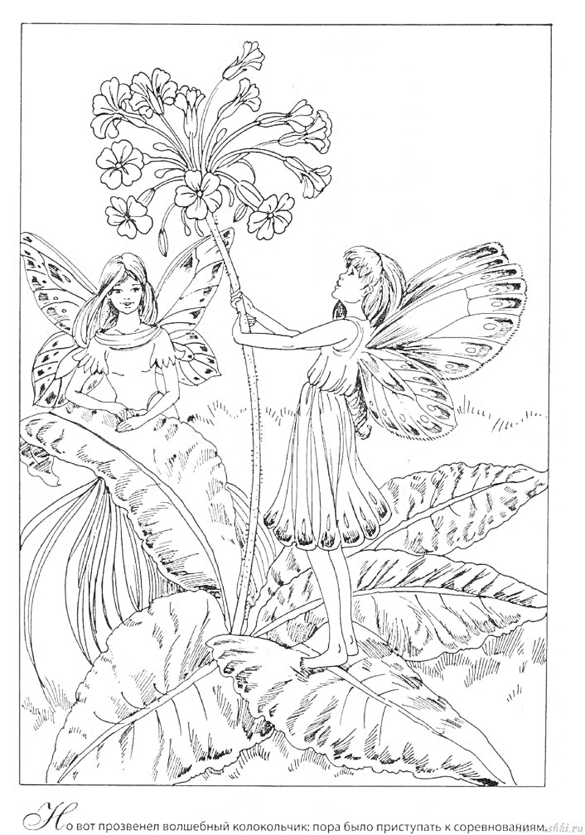На раскраске изображено: Феи, Эльфы, Крылья, Волшебство, Природа, Листья