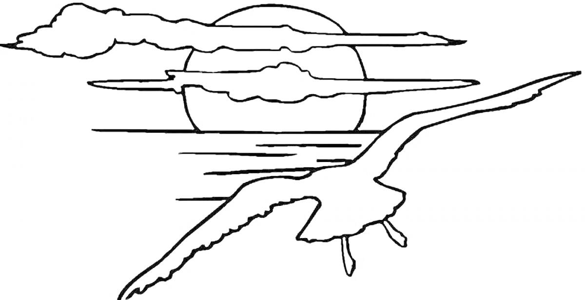 На раскраске изображено: Птица, Закат, Облака, Море, Полет, Природа