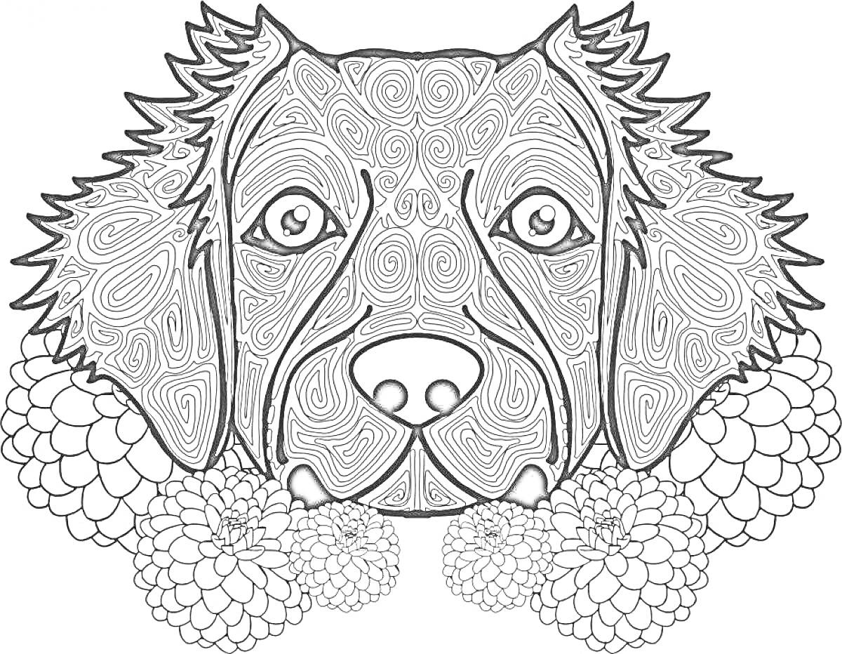Антистресс раскраска с собакой и цветами, голова собаки с узорами и цветочные элементы
