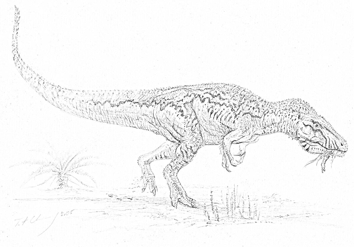 Раскраска Кархародонтозавр на пустынной местности с растениями