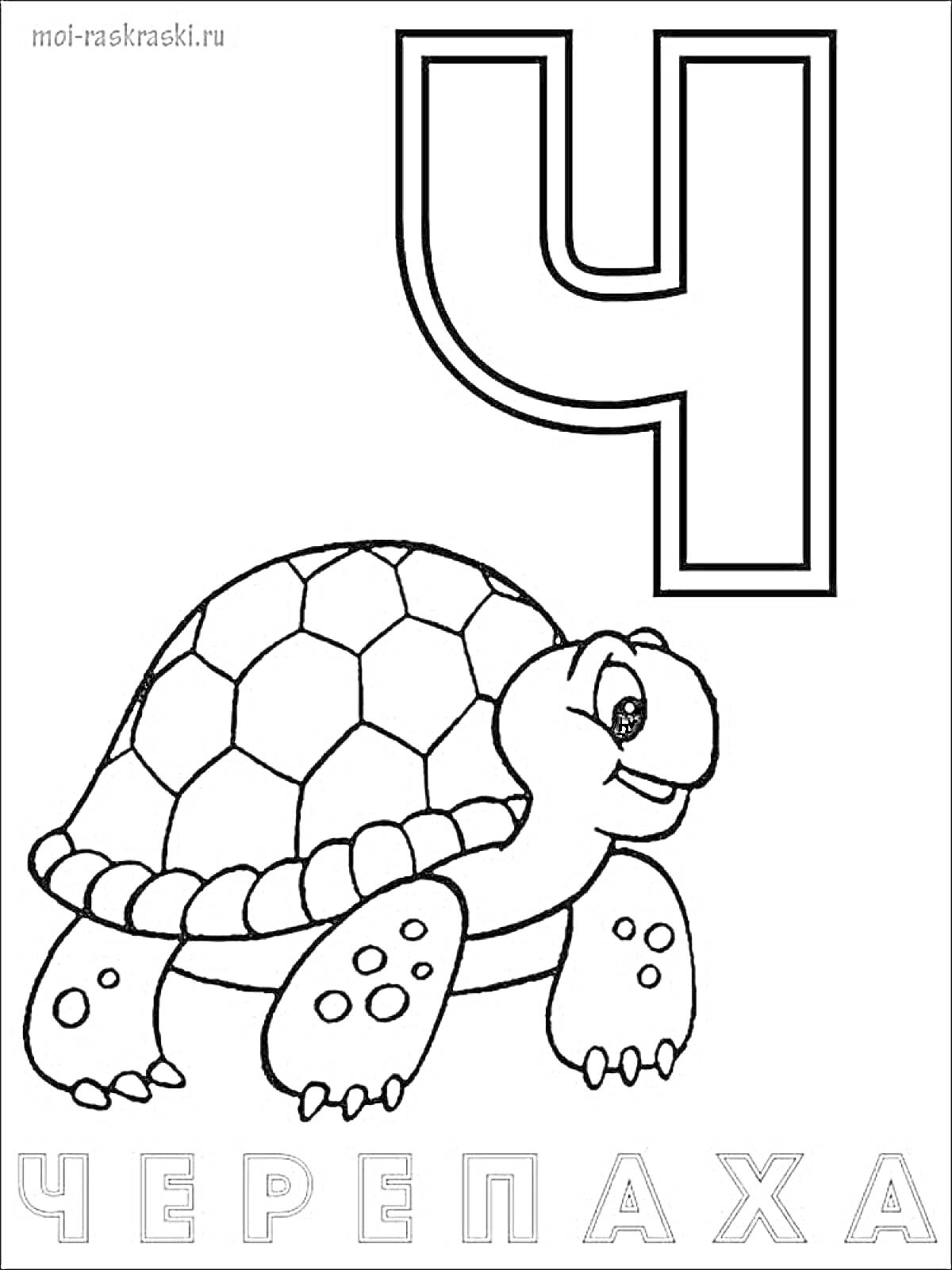 На раскраске изображено: Черепаха, Алфавит, Образование, Русский язык, Животные, Цыплята