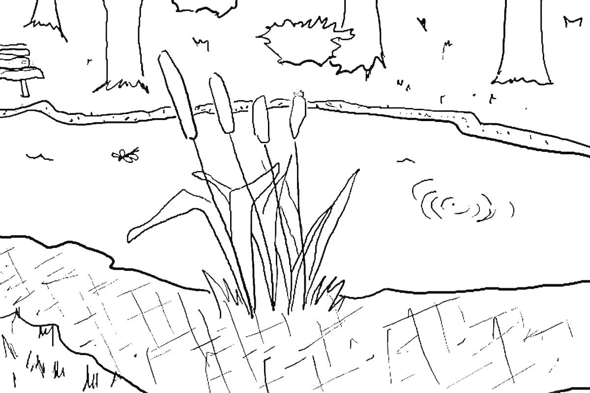 Раскраска Тростник у болота с водой, деревьями и насекомым