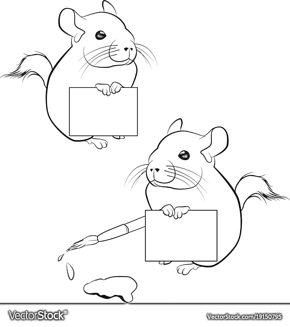 Раскраска Две шиншиллы с табличками, одна из которых рисует кистью