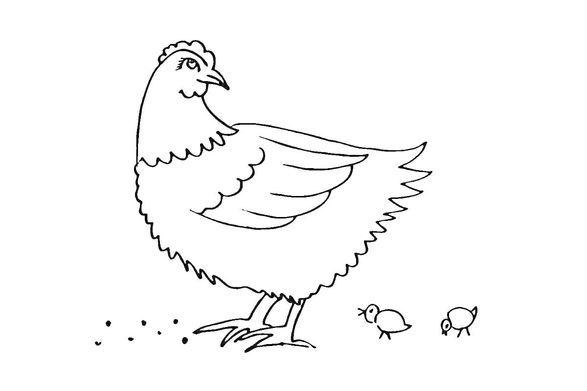 На раскраске изображено: Цыплята, Домашние птицы, Корм
