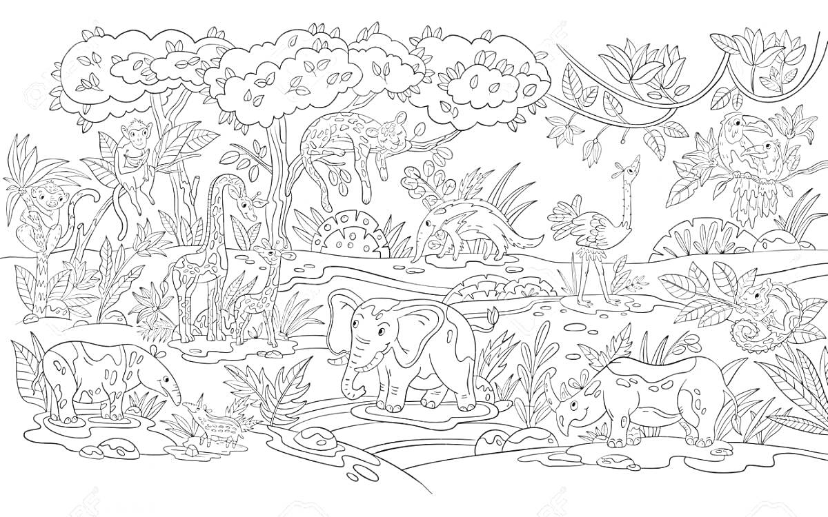 На раскраске изображено: Африканское сафари, Слон, Носорог, Лев, Гиппопотам, Деревья, Природа, Животные, Саванна