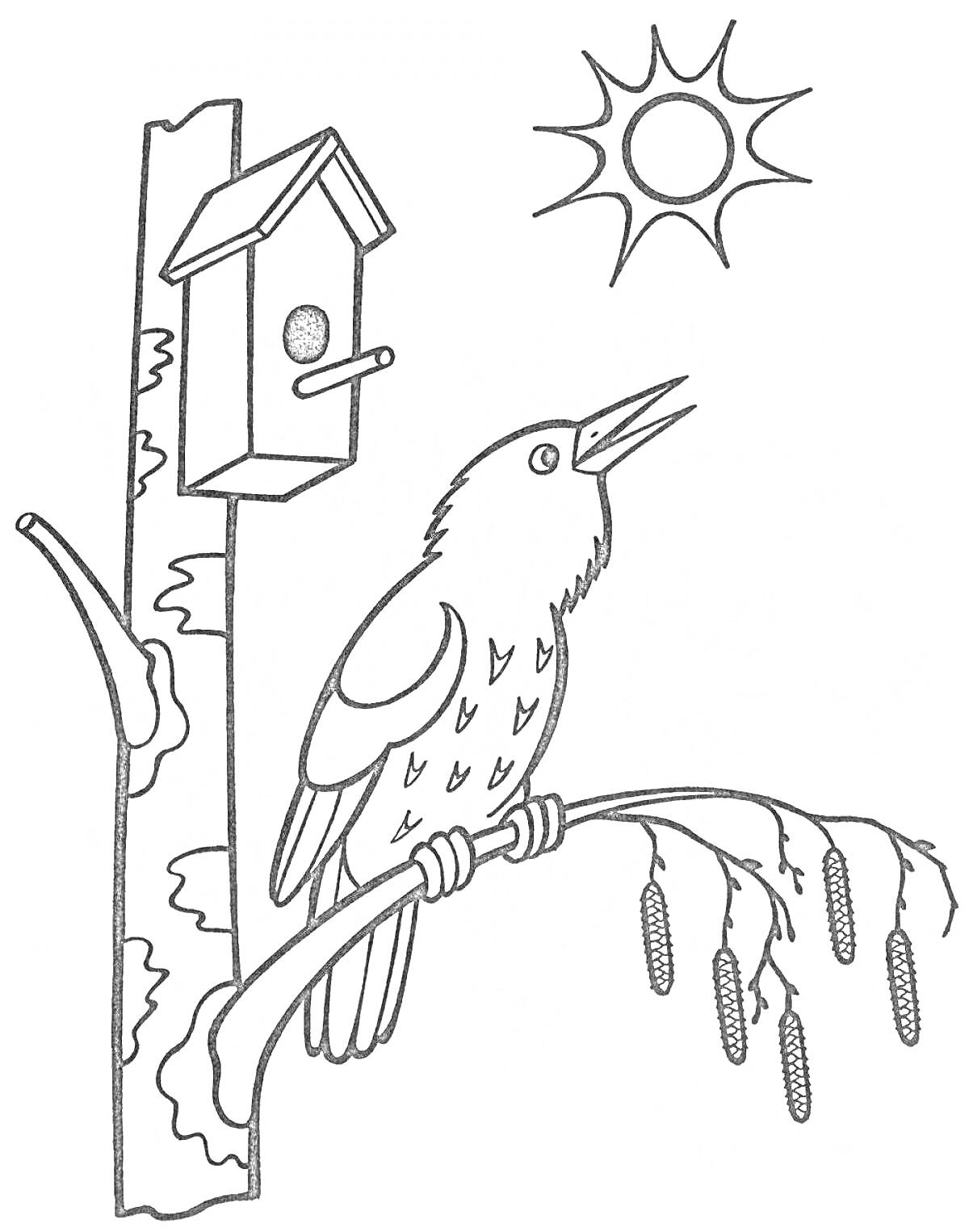 Раскраска Скворец на ветке дерева перед скворечником и солнцем