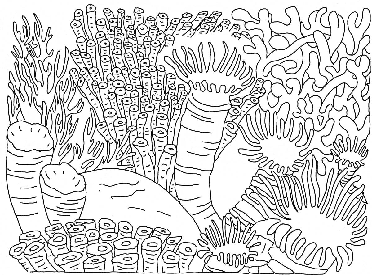 На раскраске изображено: Подводный мир, Кораллы, Для детей, Океаны, Природа, Животные, Морская тематика
