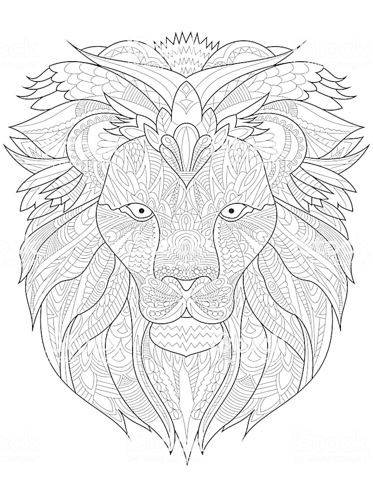 Раскраска Антистресс раскраска с изображением декоративного льва с деталями орнамента