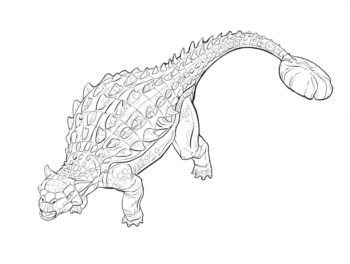 Раскраска анкилозавр, защитные пластины, булавовидный хвост, четыре ноги, голова с рогами.