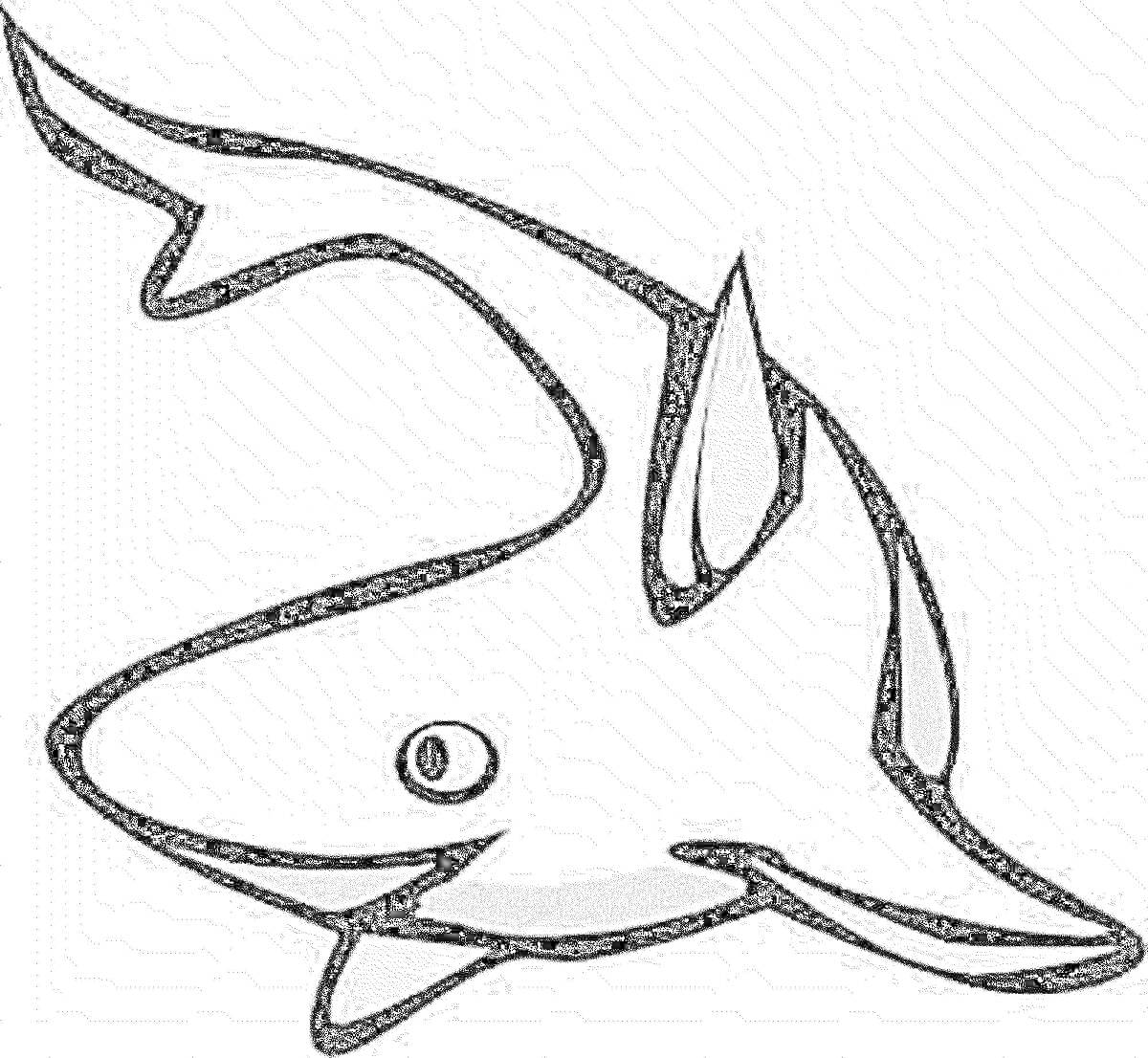 Раскраска Раскраска с изображением акуленка