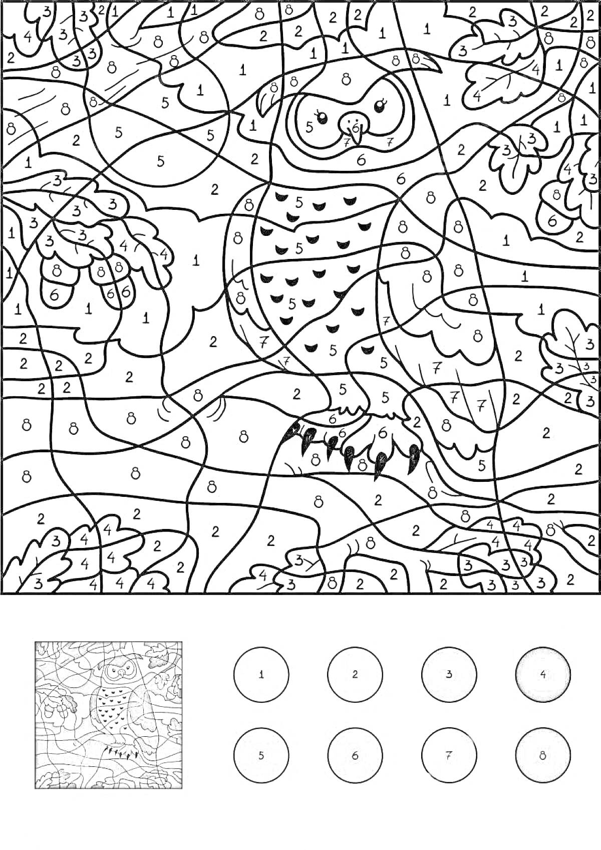 Раскраска Совенок на ветке с листьями - раскраска по цифрам