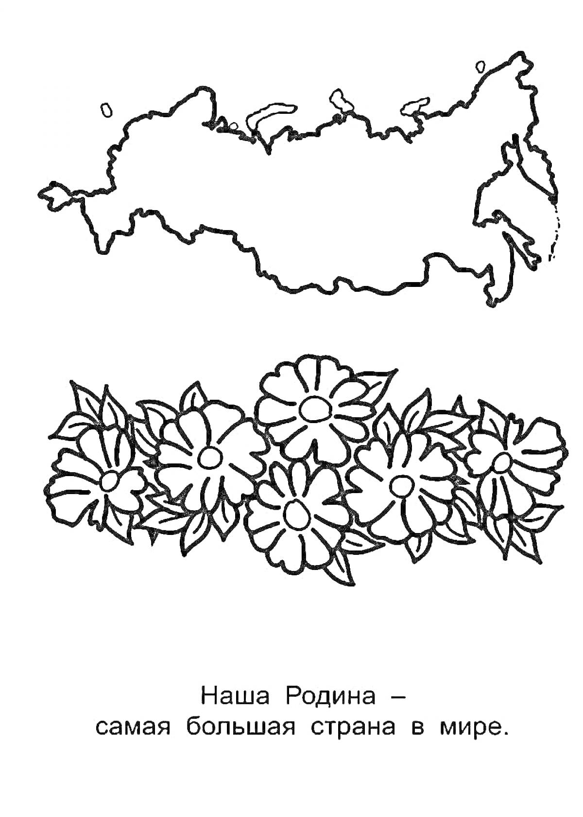 На раскраске изображено: Россия, Карта, Родина, Цветы, Символы России