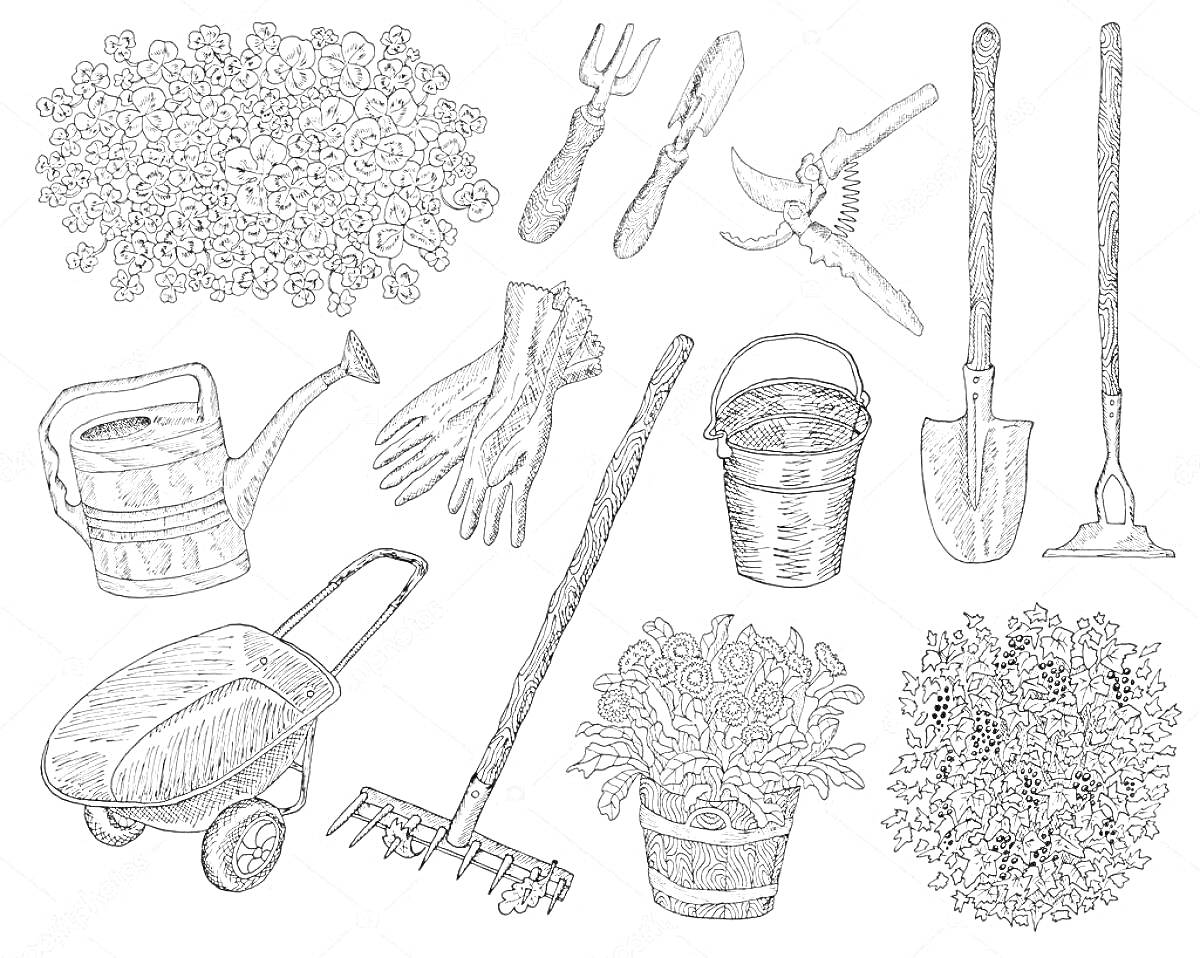 На раскраске изображено: Сад, Инвентарь, Цветы, Растения, Лейка, Лопата, Грабли, Тачки, Ведёрко