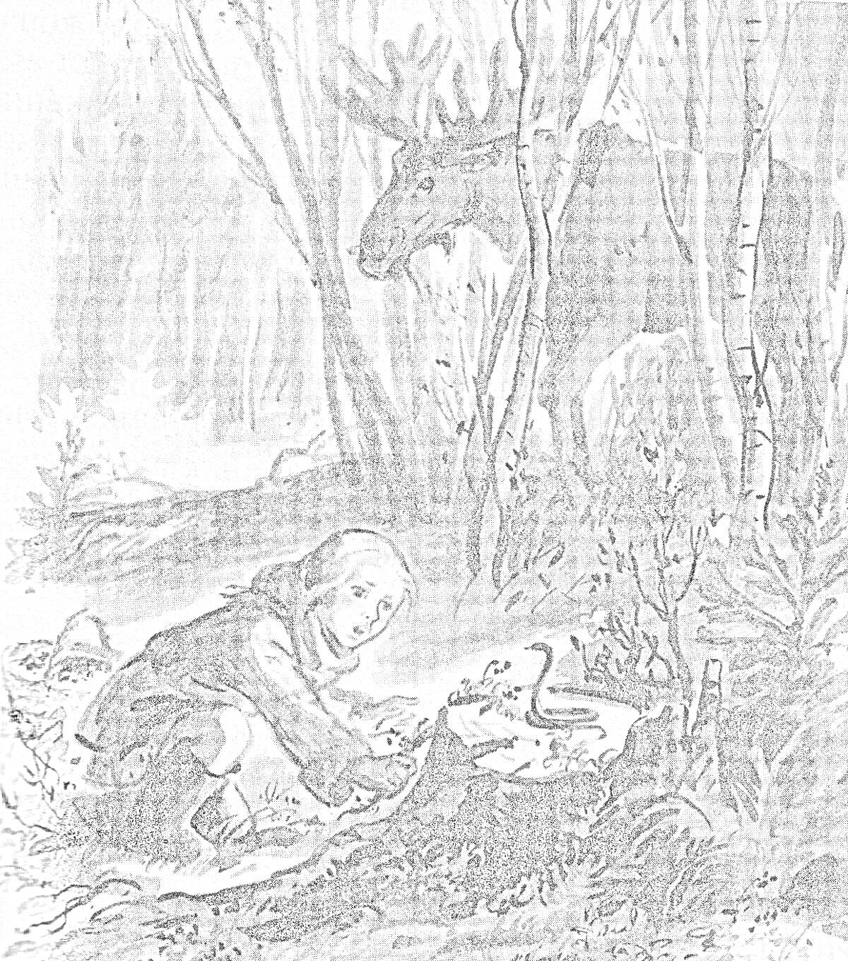На раскраске изображено: Ребенок, Лес, Сбор грибов, Лось, Деревья, Природа, Звери, Грибы, Осень