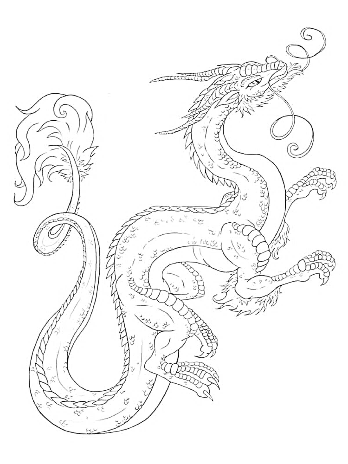 На раскраске изображено: Китайский дракон, Дракон, Мифология, Фэнтези, Длинное тело, Усы, Рога