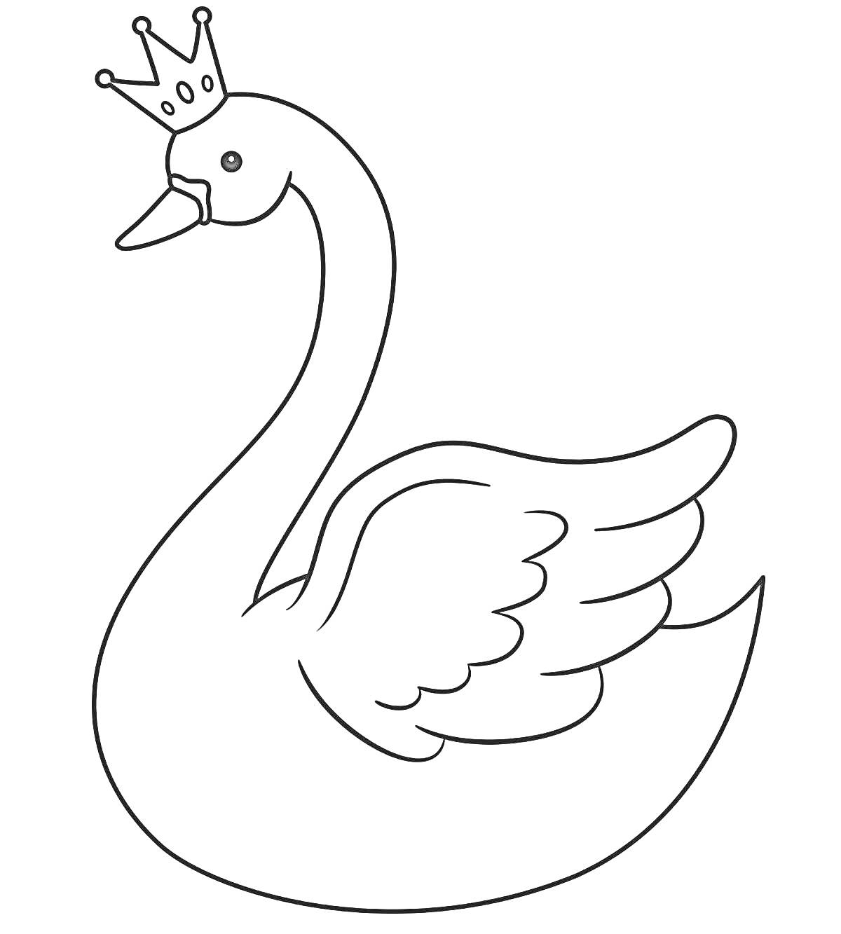 На раскраске изображено: Корона, Лебедь, Птица, Искусство