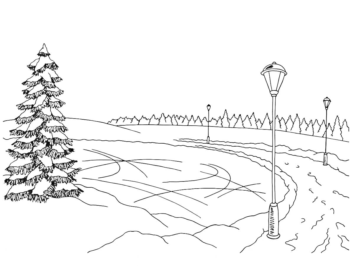 Раскраска Ледяной каток с фонарными столбами и елью в зимнем парке