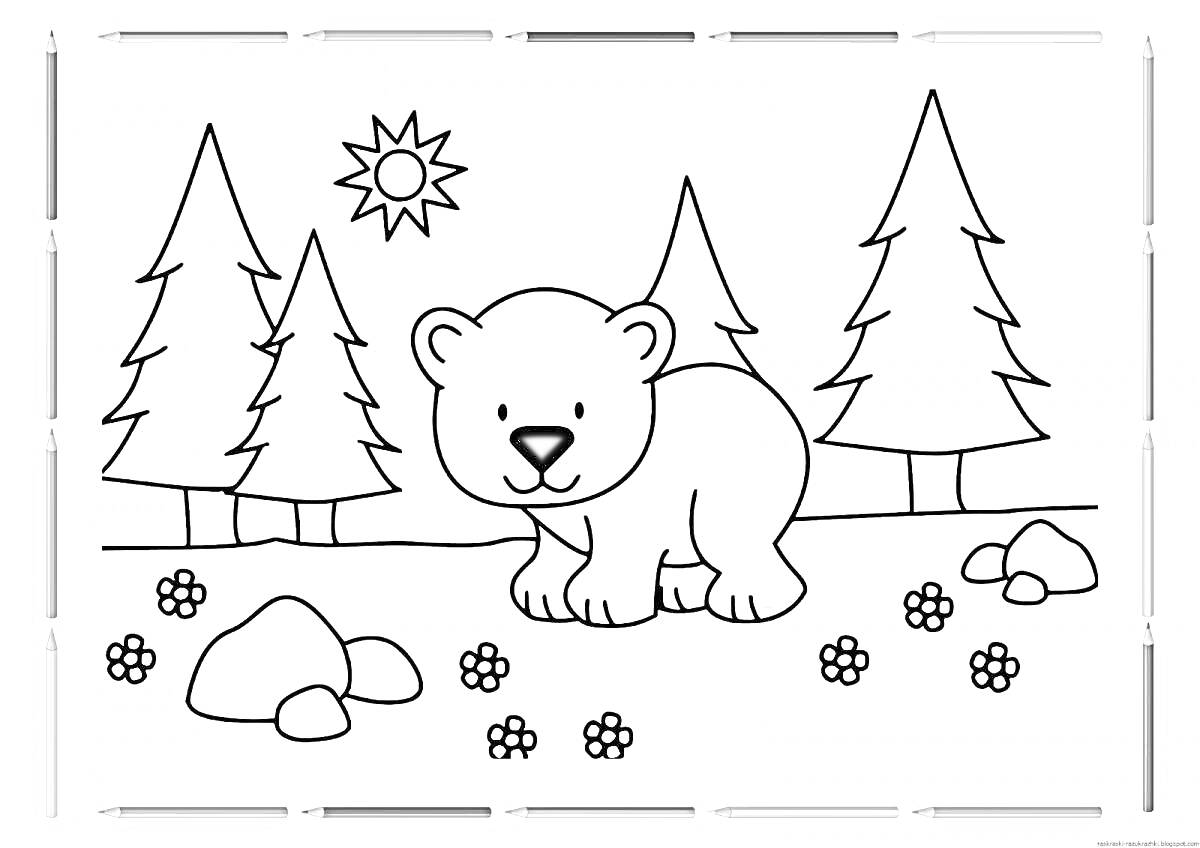 Раскраска Медвежонок в лесу (деревья, солнце, камни, цветы)