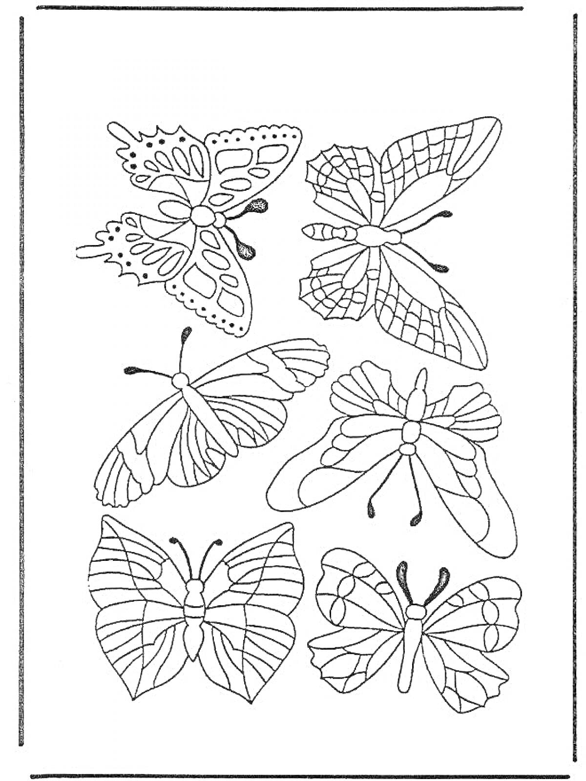 Раскраска Раскраска с шестью разнообразными бабочками на одном листе