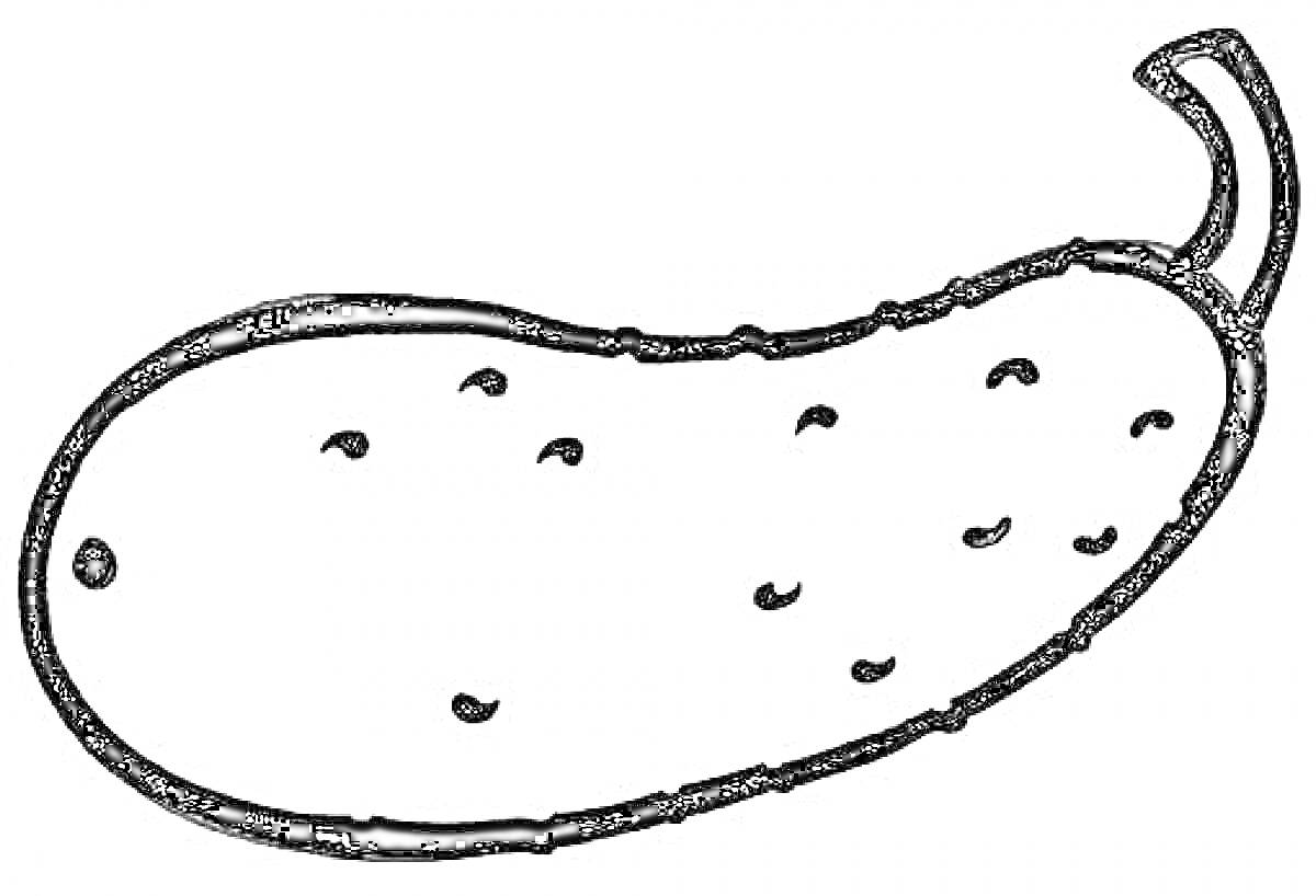 Раскраска Огурец с пупырышками и хвостиком