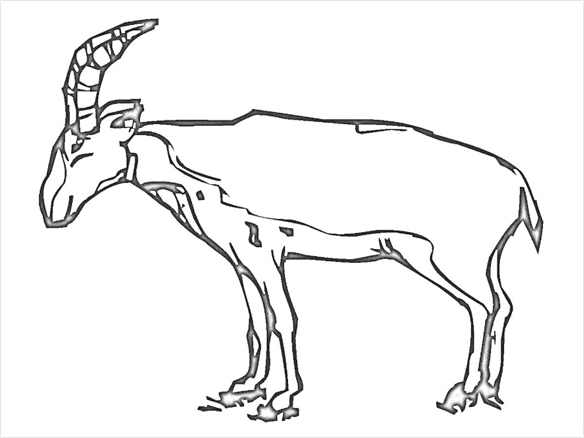 сайгак с рогами и коротким хвостом, стоящий на земле