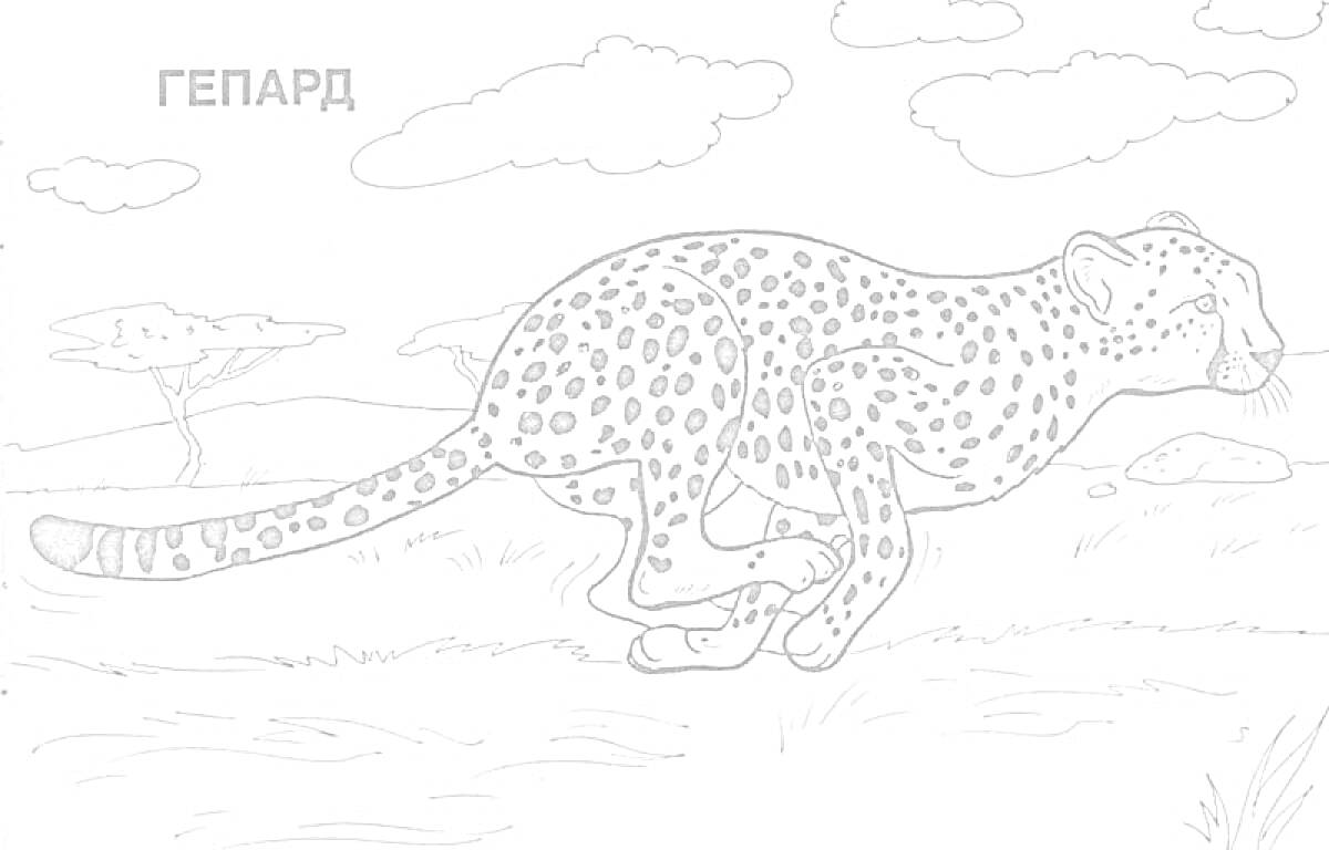 Гепард бежит по саванне, окруженной деревьями и облаками