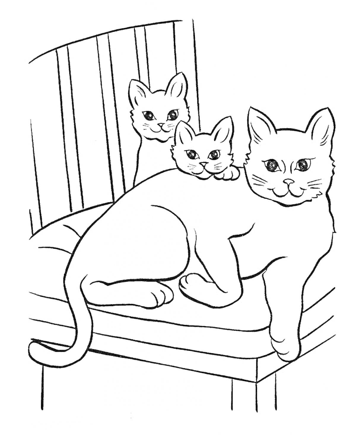 Раскраска Кошка с двумя котятами на стуле