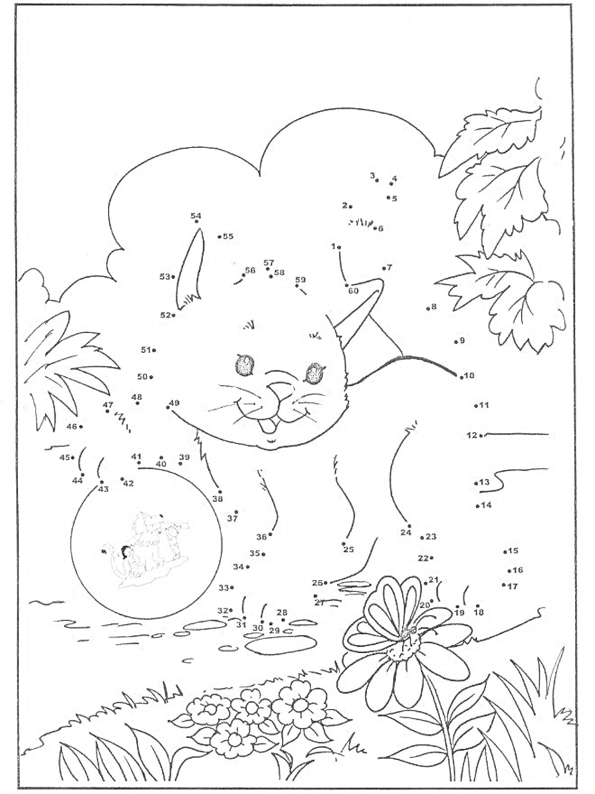 Раскраска Кот по номерам в кустах с цветами и бабочками