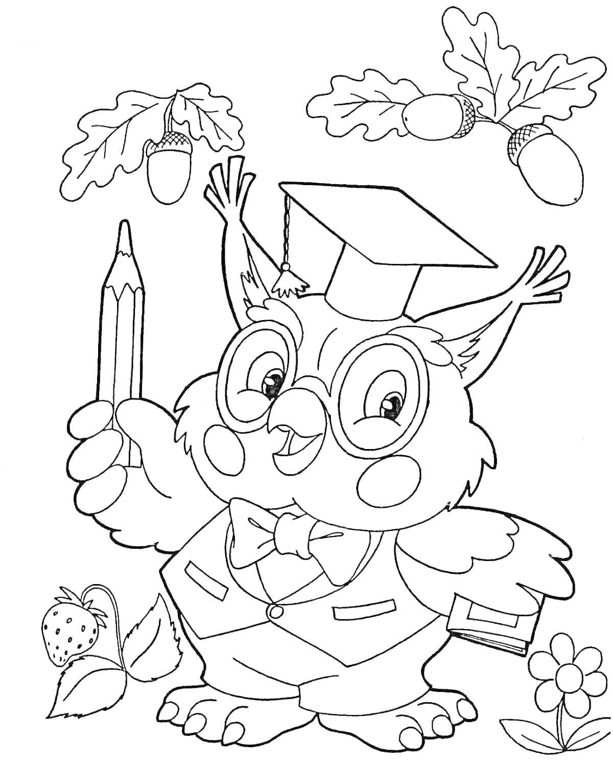 Раскраска Ученая сова с очками и шапочкой, держащая карандаш и книгу, с желудями, цветком и клубникой
