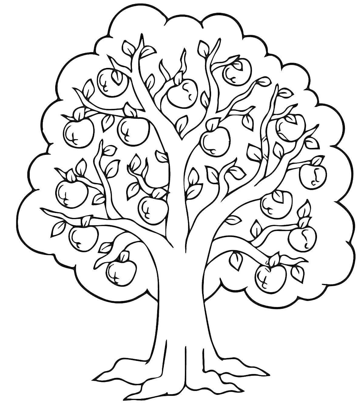 На раскраске изображено: Яблоня, Листья, Природа, Для детей, Обучение