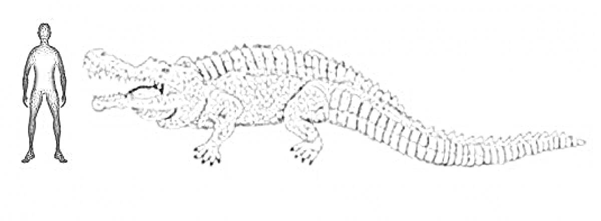 На раскраске изображено: Человек, Палеонтология, Динозавр, Доисторические животные, Рептилии