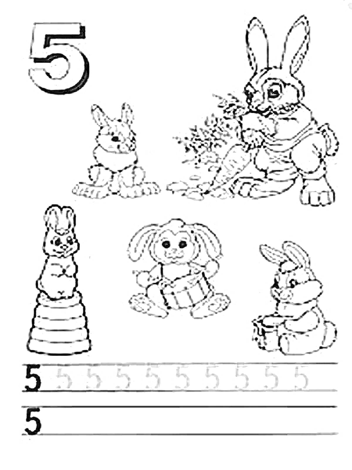 На раскраске изображено: Цифра 5, Обучение, Математика, Учимся считать, Для детей, Кролик, Морковь