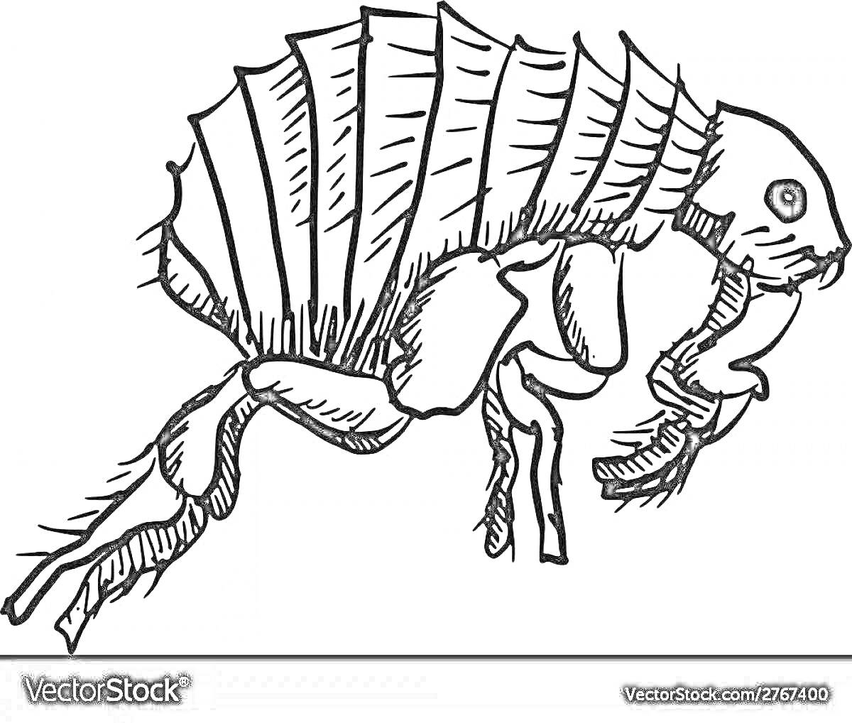 Блоха - детализированное изображение блохи с сегментированным телом и длинными ногами.