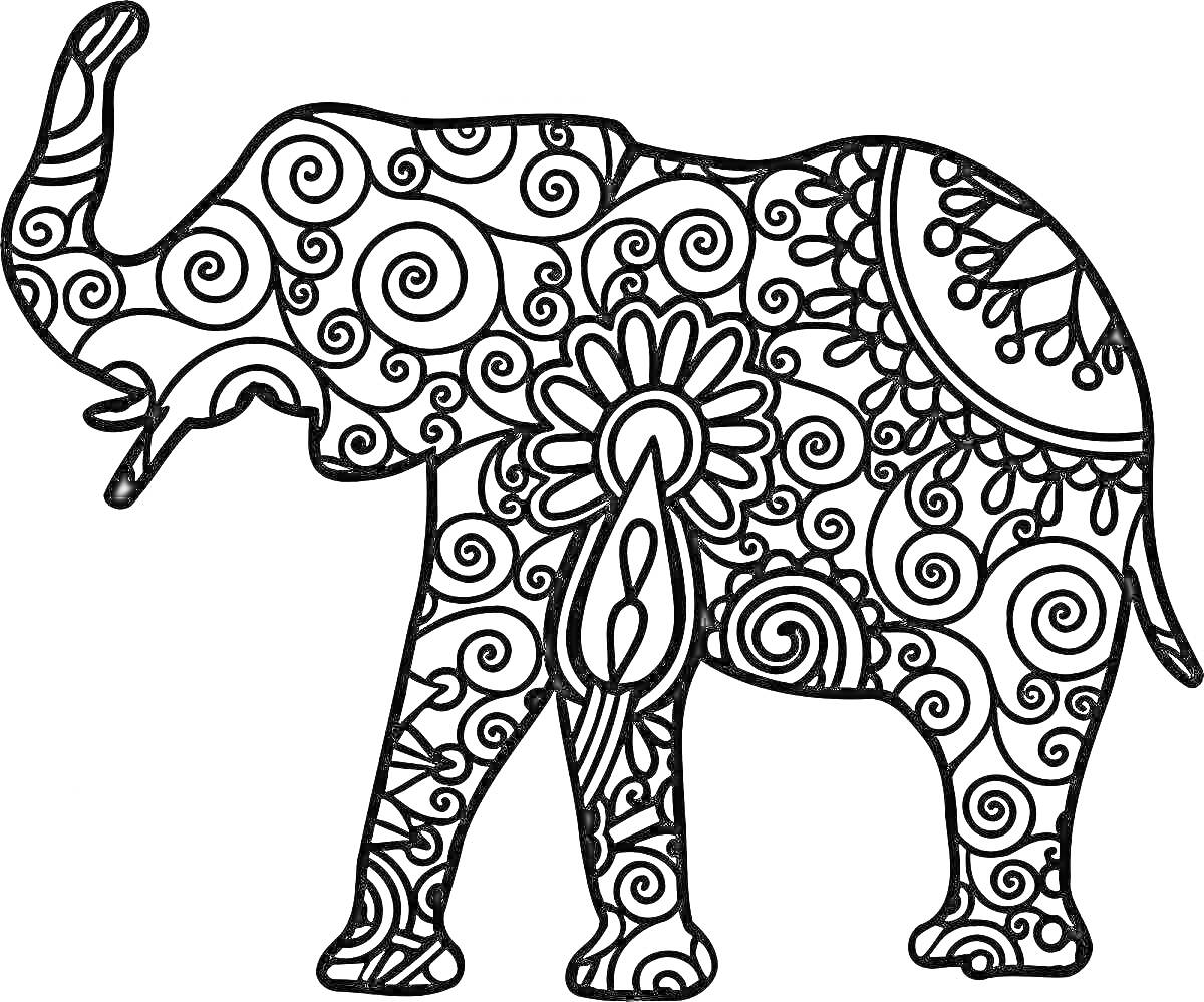Раскраска Индийский слон с орнаментом, завитки и цветочные узоры