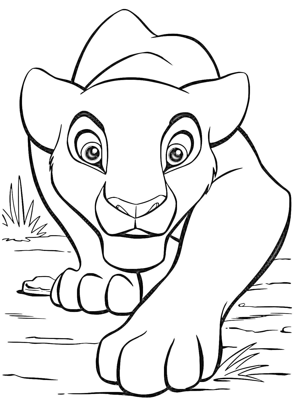 Раскраска Лев на охоте на фоне травы