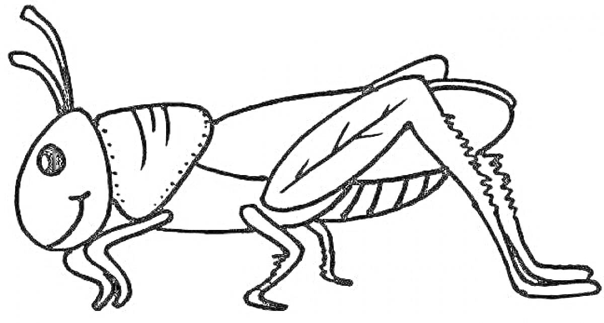 Раскраска Раскраска с кузнечиком, вид сбоку, улыбающийся кузнечик с длинными усиками и полосками на брюшке