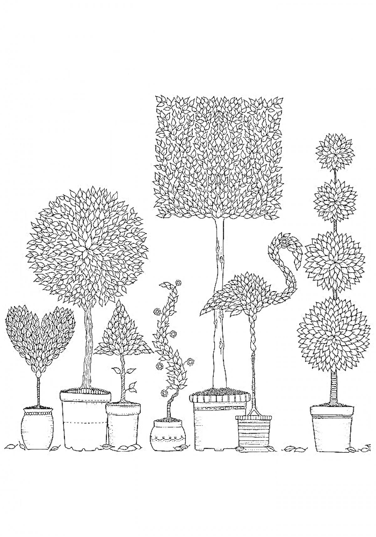 На раскраске изображено: Таинственный сад, Деревья, Горшки, Фламинго, Листья, Растения