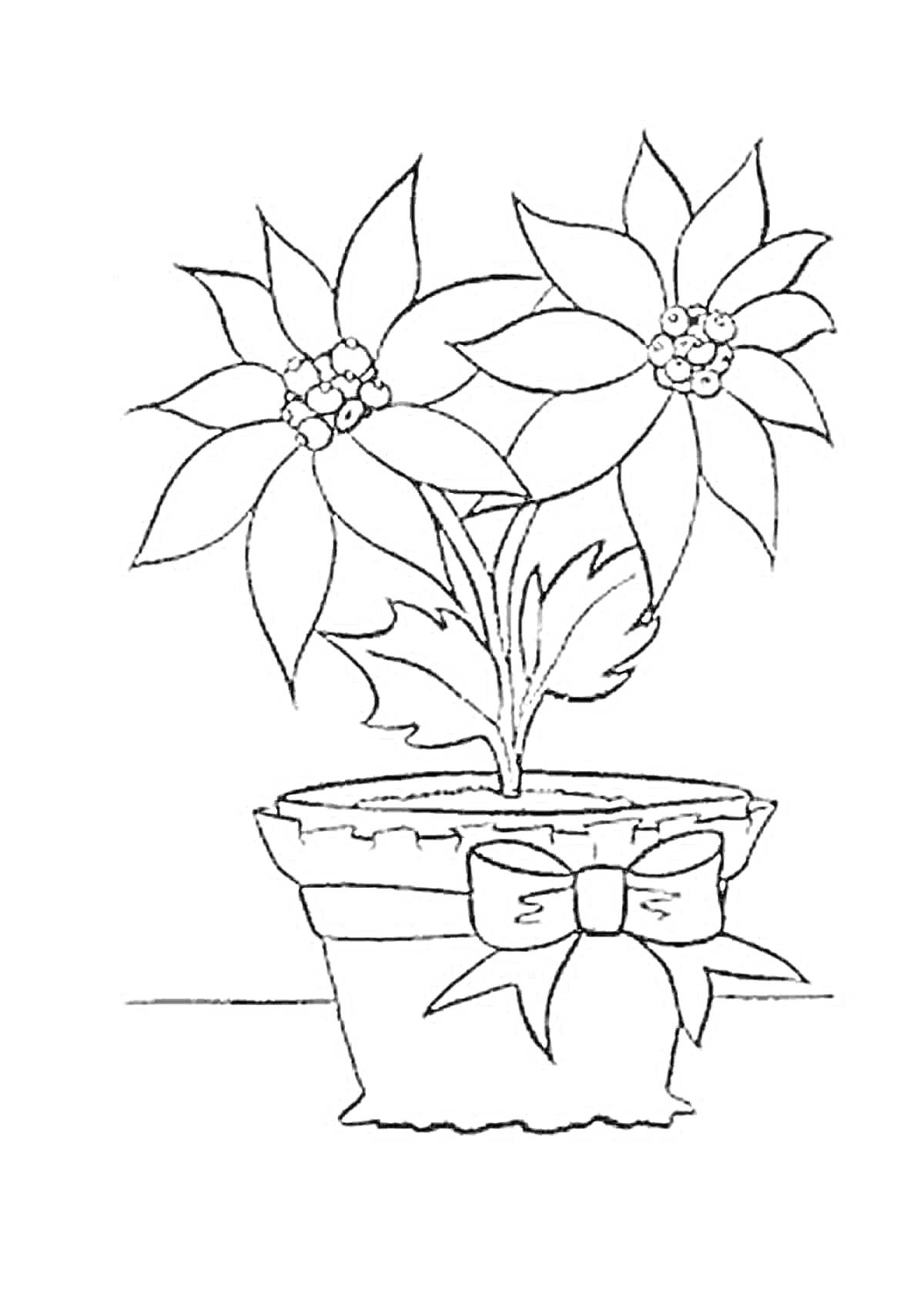 Раскраска Горшок для цветов с двумя цветами и бантом