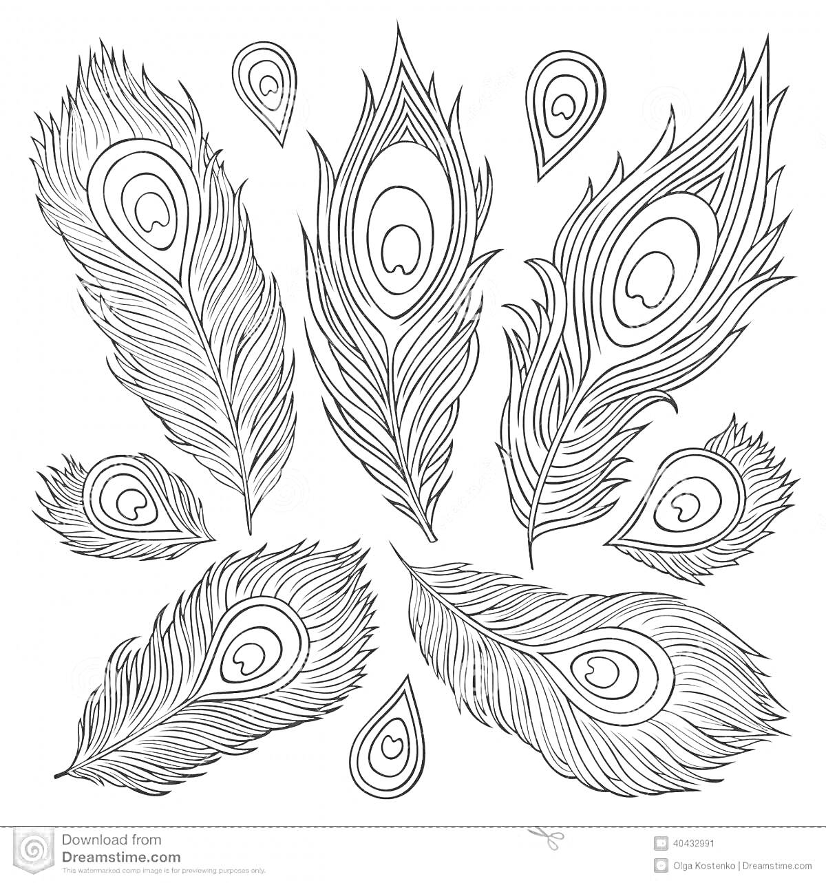 Раскраска Перья жар-птицы в разных формах