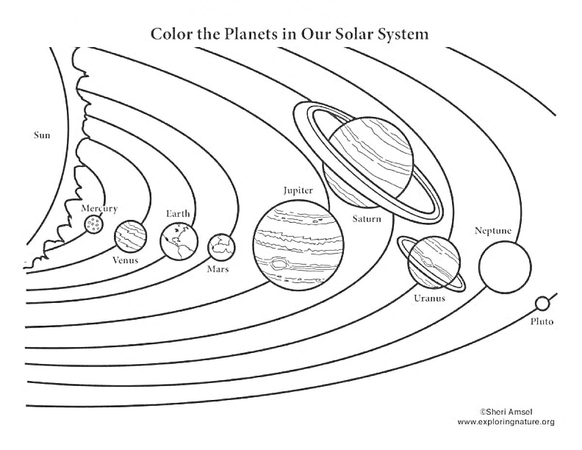 На раскраске изображено: Солнечная система, Планеты, Солнце, Меркурий, Венера, Земля, Марс, Юпитер, Сатурн, Уран, Нептун, Плутон, Образование