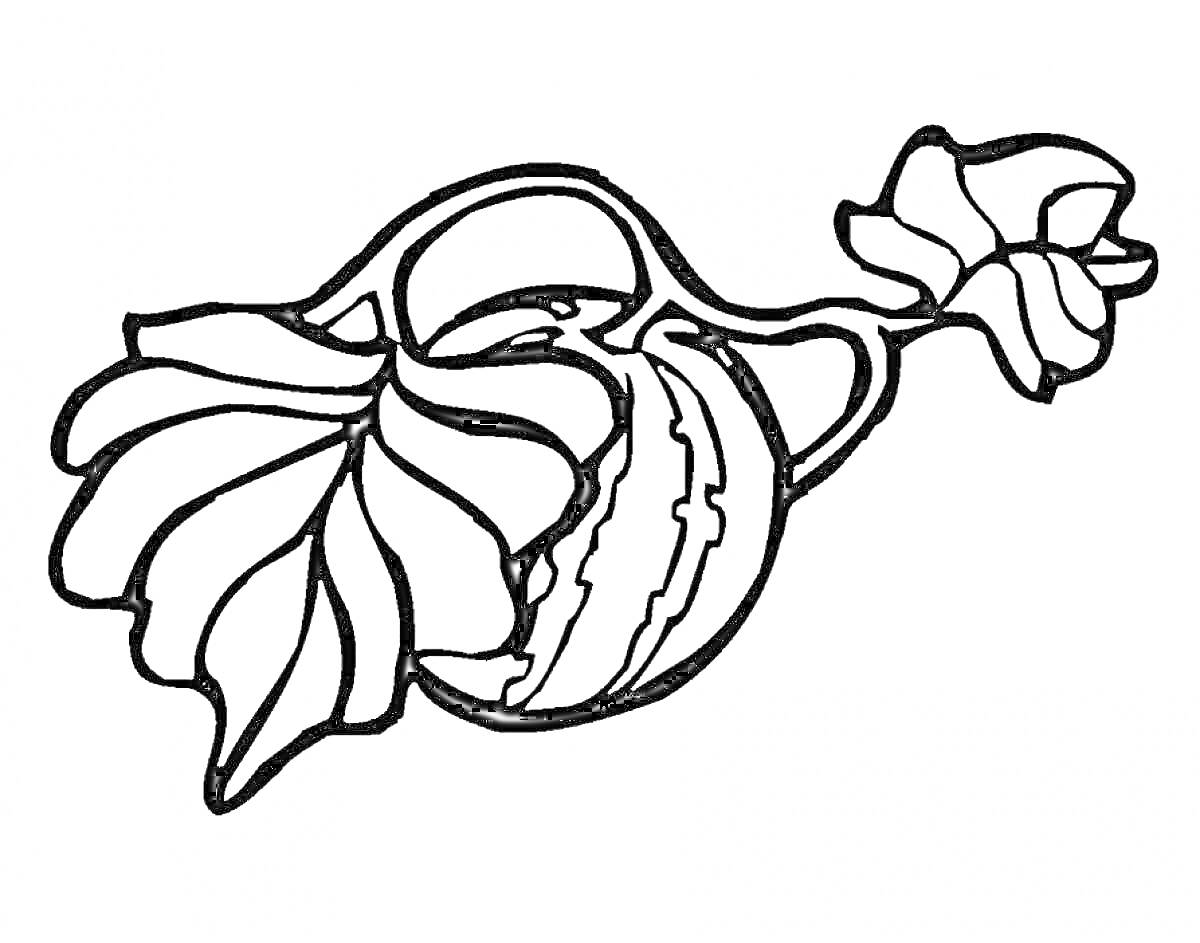 Раскраска Арбуз с цветком и листьями