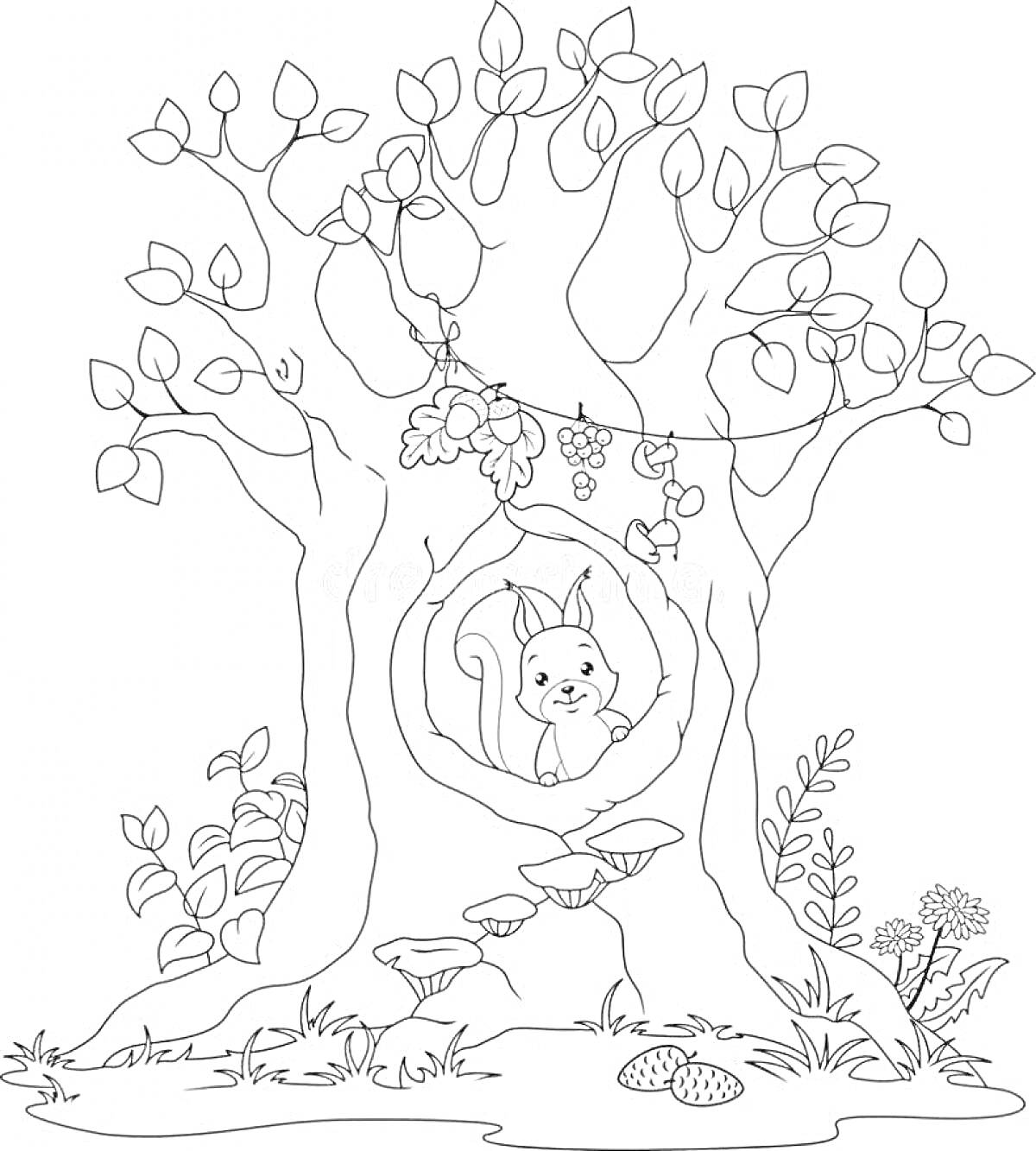 На раскраске изображено: Дупло, Белка, Листья, Желуди, Трава, Грибы, Цветы, Природа