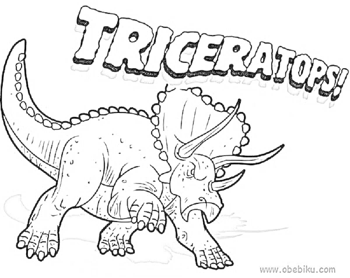 На раскраске изображено: Трицератопс, Динозавр, Текст, Рога
