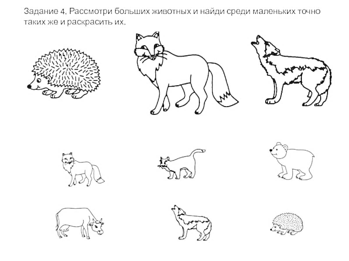 На раскраске изображено: Еж, Лиса, Волчица, Кот, Детеныши, Дикие животные, Домашние животные