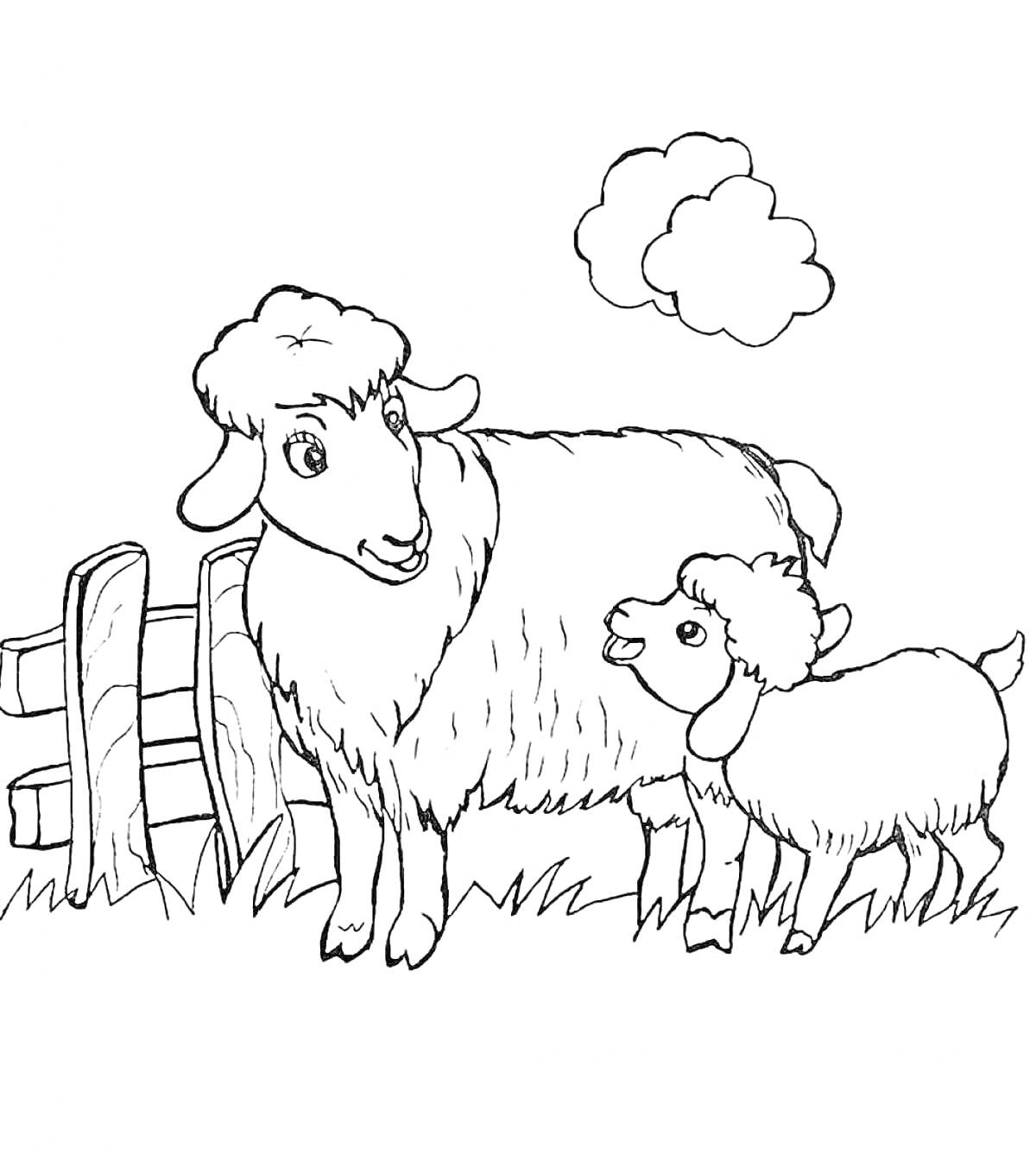 Раскраска Овца и ягненок возле забора с облаками