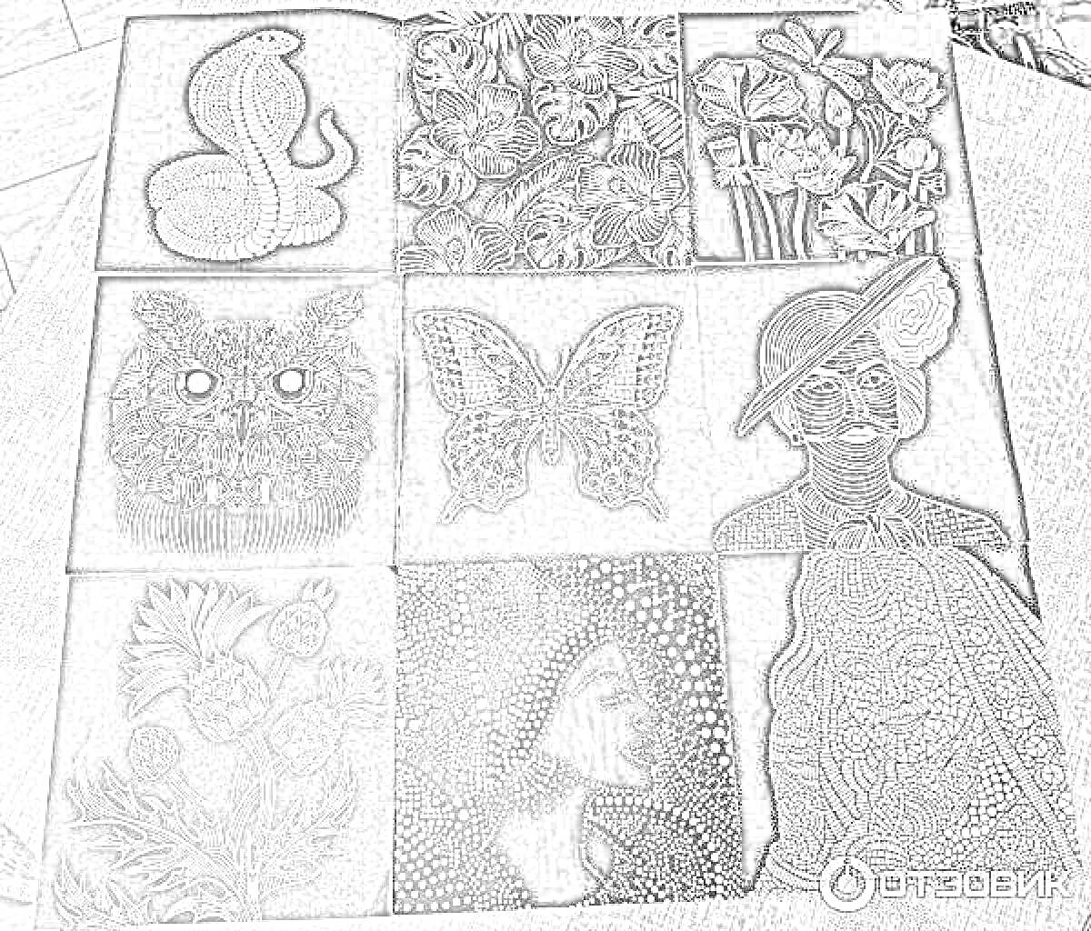Раскраска Радужная магия на черном фоне: змея, цветы, сова, бабочка, женский портрет в шляпе, абстрактный портрет