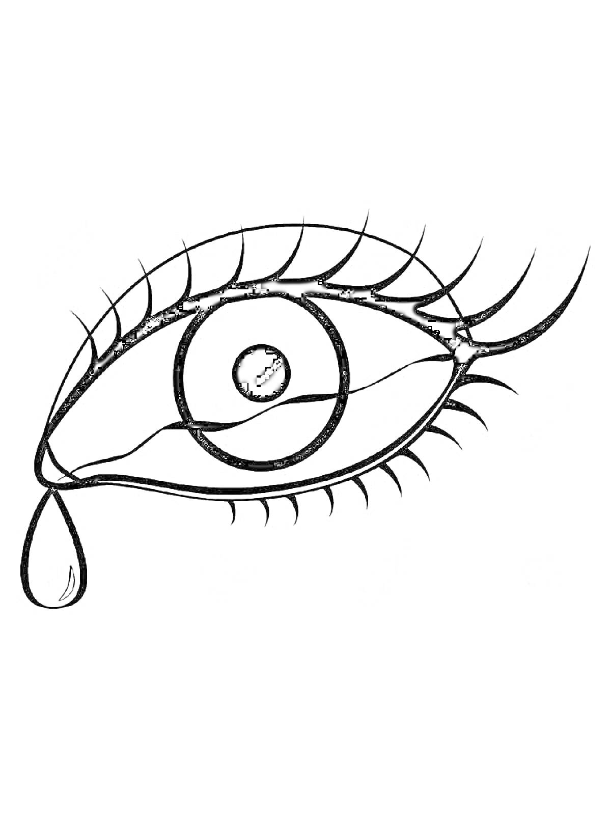 Раскраска Чёрно-белый рисунок глаза с ресницами и каплей слезы