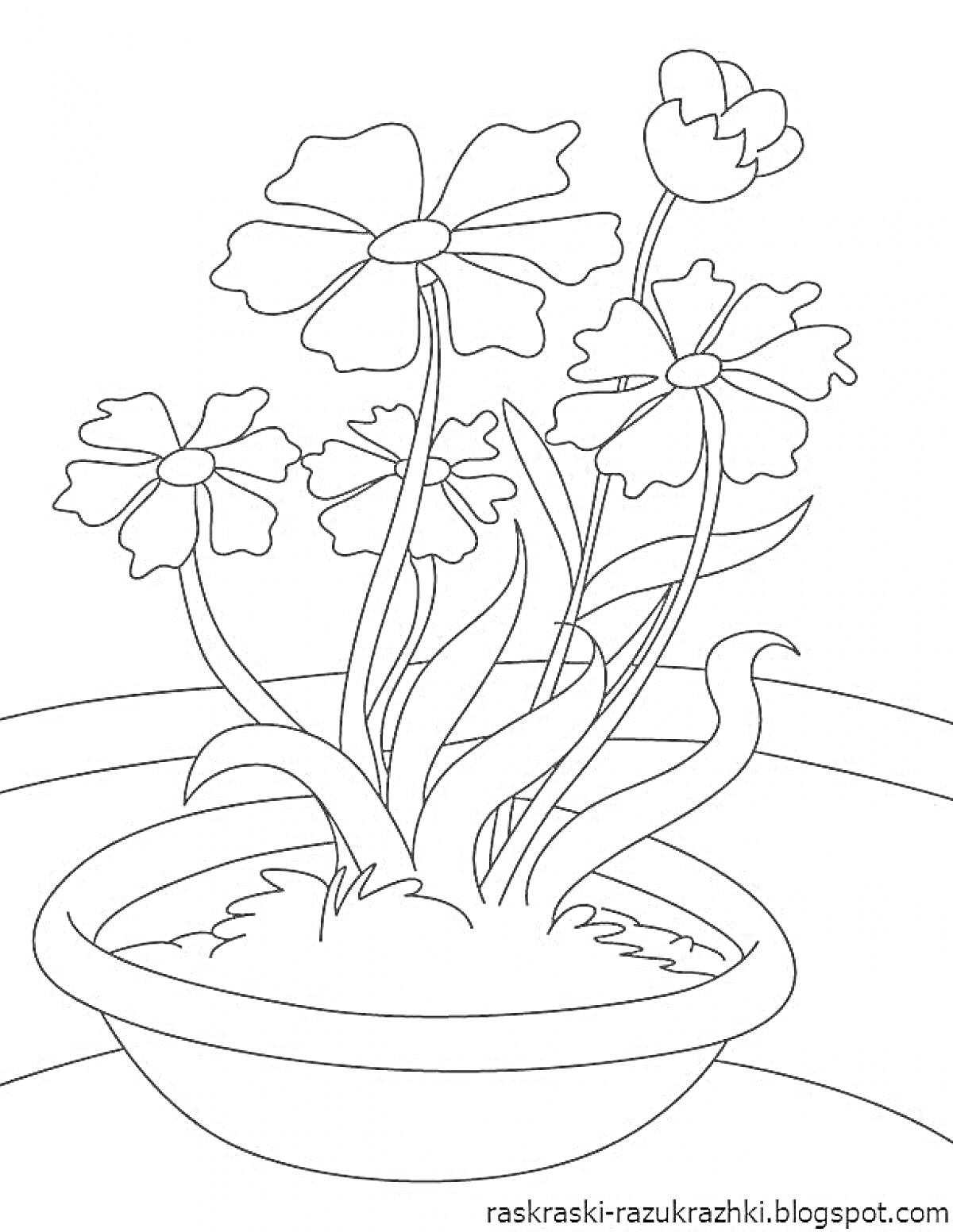 Раскраска Растение с цветами в горшке на подоконнике