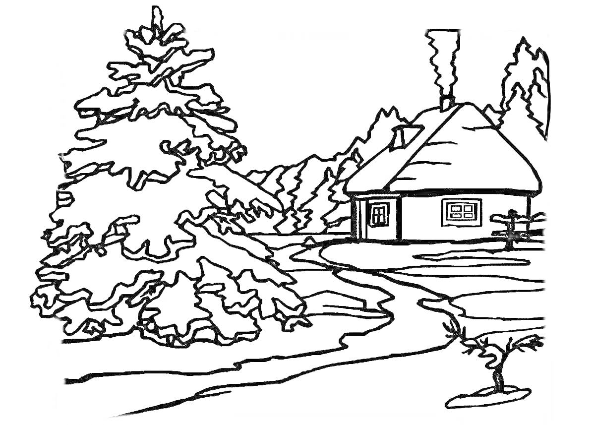 Раскраска Домик в зимнем лесу с заснеженной ёлкой и тропинкой