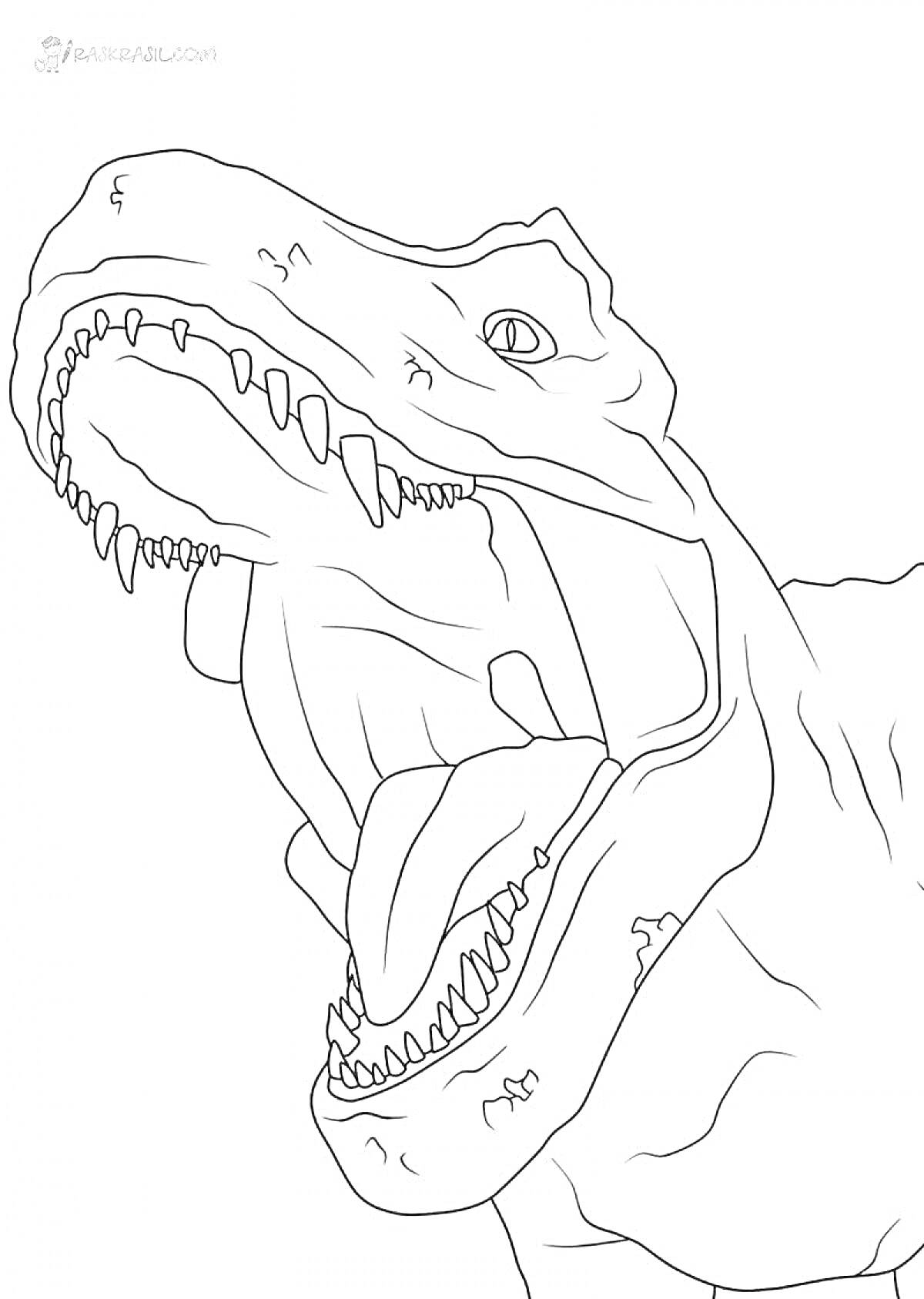 На раскраске изображено: Динозавр, Тираннозавр рекс, Пасть, Зубы, Язык, Мир юрского периода